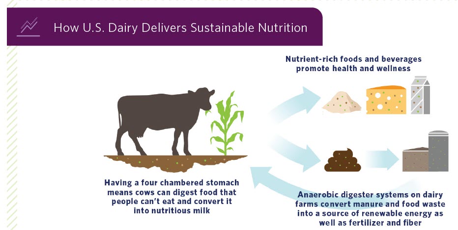 Global Dairy Sustainability2