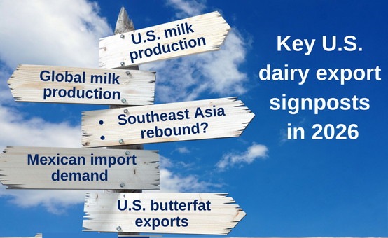 Signposts image2 2026