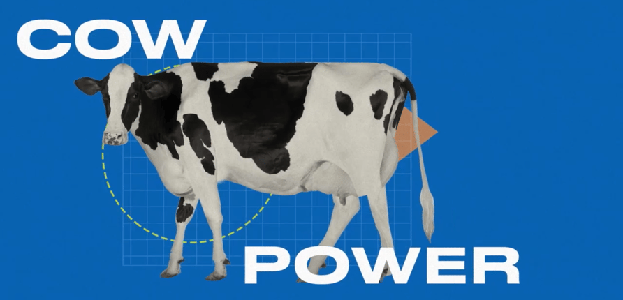 Cow Power