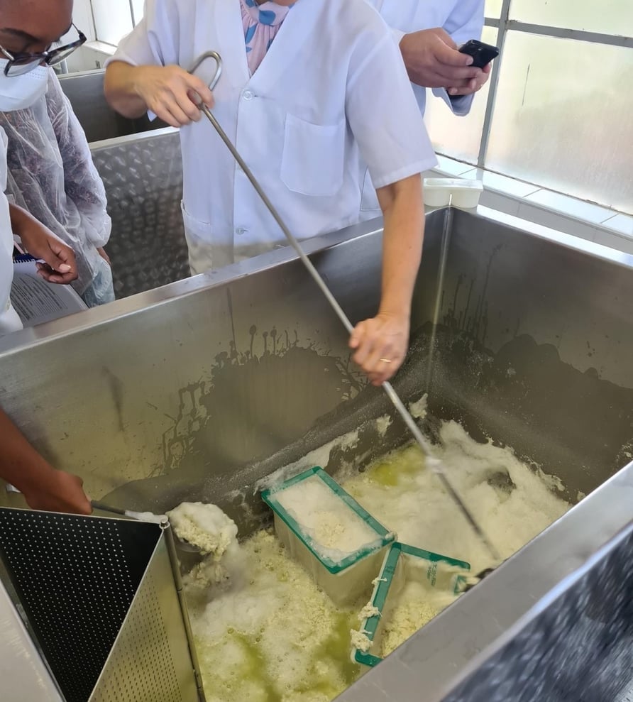 Brazilian cheesemaking workshop
