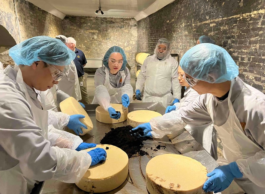 Cheese Instructor Sartori