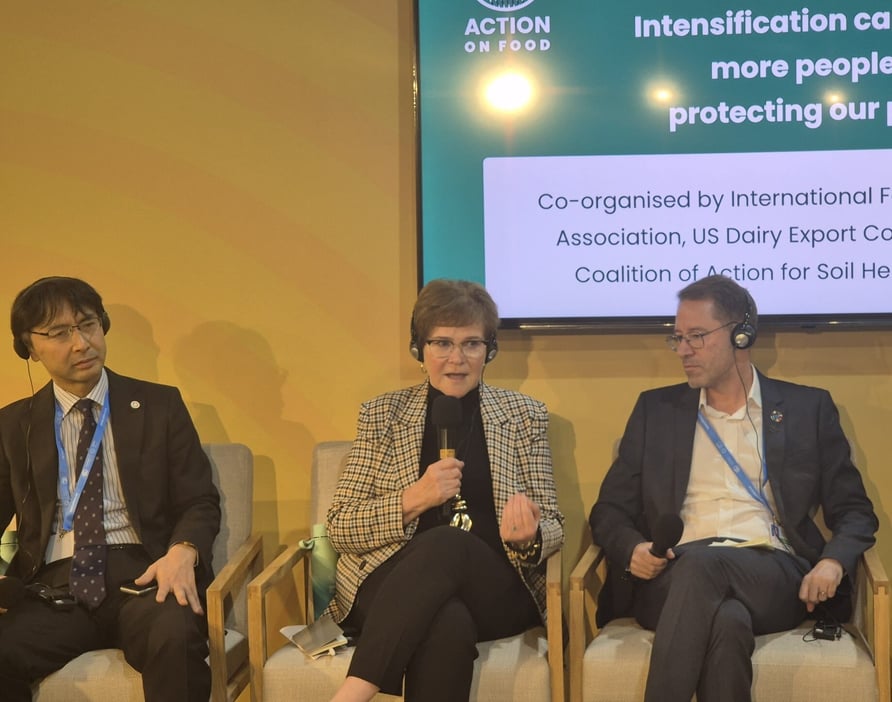 COP29 KH panel