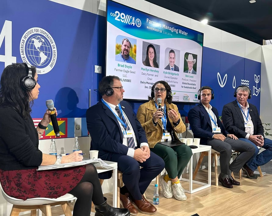COP29 MH panel