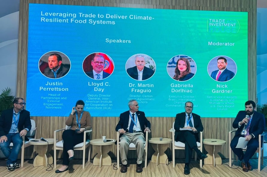 COP29 NG panel